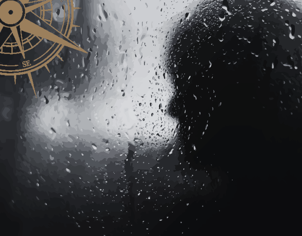 Tanya Cross advising on Authentic Business Growth through integrated leadership