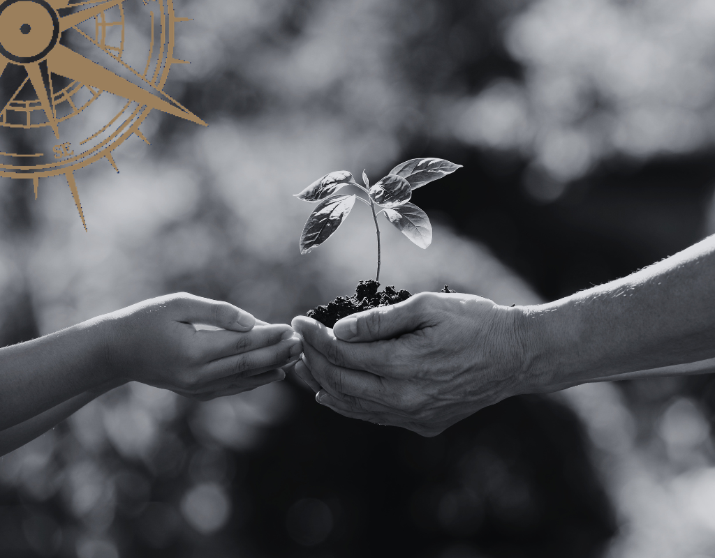 Hands passing a growing seedling representing what legacy means while you are still building